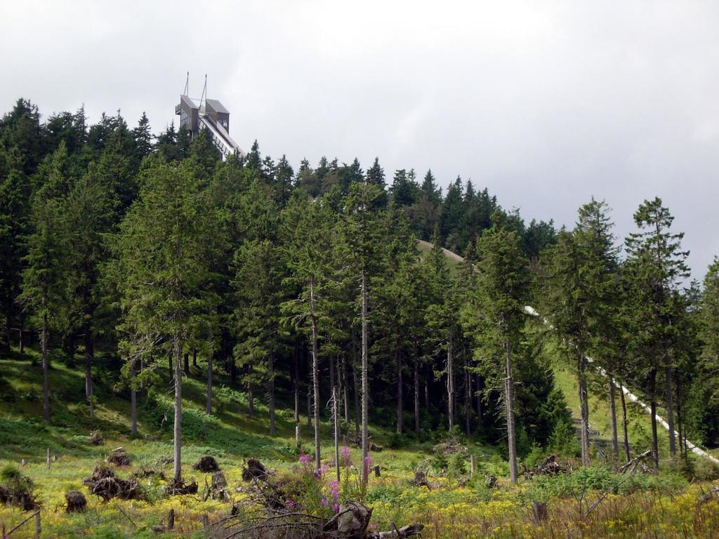 Haus Duemling Hotel Braunlage Bagian luar foto